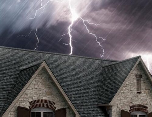 A Comprehensive Guide to Storm Damage Costs