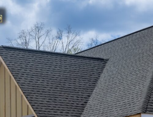 How to Maintain Your Asphalt Roof Throughout the Year